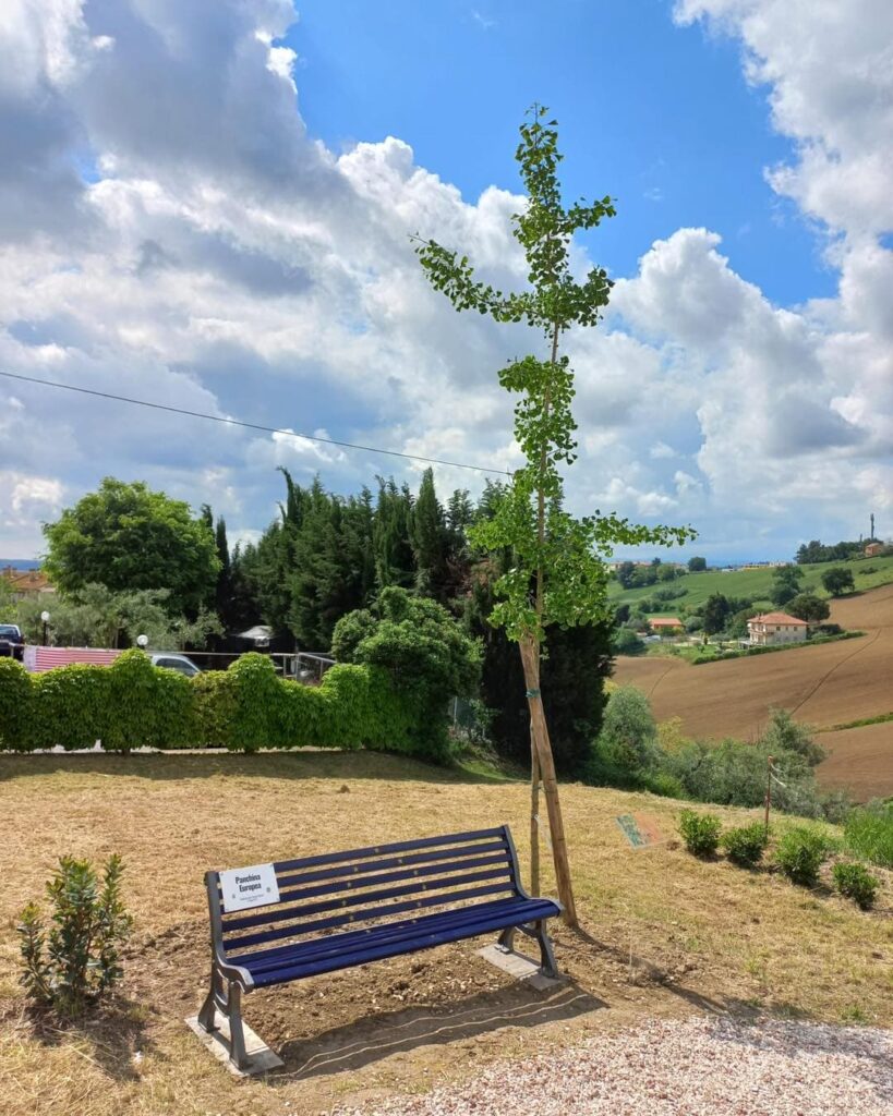 Bosco della biodiversità-Parco didattico
